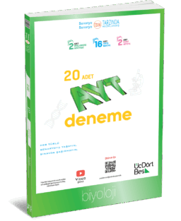 AYT Biyoloji 20’li Deneme